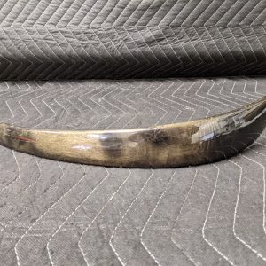 BMW E81/E82/E87/E88 1-Series Door Wood Trim Right Passenger Poplar Gray 51419140362